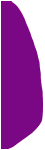 [Purple Feather Flag]