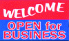 Welcome Red/Blue Vinyl Banner