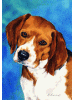 [Beagle Dog Banner]