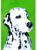 [Dalmatian Dog Banner]