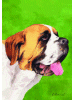 [Saint Bernard Dog Banner]