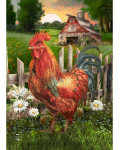 [Sunrise Rooster Banner]