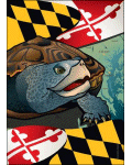 Maryland Flag with Terrapin Banner