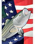 USA Rockfish Banner