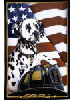 [Dalmatian Fire Dog Banner]