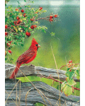 Cardinal Lookout Banner