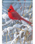 [Cardinal in Snow Banner]