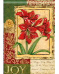 [Amaryllis Tapestry Banner]