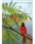 Redbird Banner