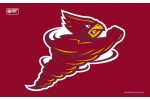 Iowa State University flag