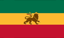 [Ethiopia w/Lion Flag]