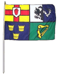 Ireland Four Provinces Stick flag