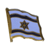 [Israel Flag Pin]