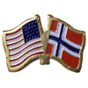 [U.S. & Norway Flag Pin]