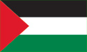 [Palestine Flag]