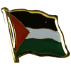 [Palestine Flag Pin]