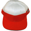 [Poland Hat]