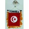[Tunisia Mini Banner]