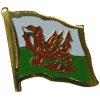 [Wales Flag Pin]