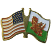 [U.S. & Wales Flag Pin]