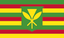 [Kanaka Maoli - Hawaiian Flag]