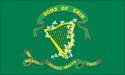 [Irish Brigade 10th Tennessee Flag]