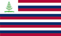 [New England Flag]