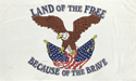 [Land of the Free Flag]