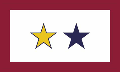 Service Star 3x5' Flag 1 Gold 1 Blue Star