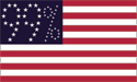 [99 Percenter flag]