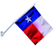 Texas Car Flag