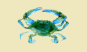 [Crab-Live Flag]