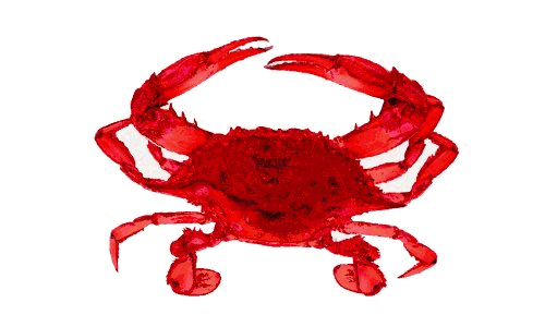 Steamed Crab fisherman's catch flag
