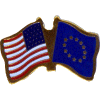 [U.S. & European Union Flag Pin]