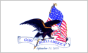 God Bless America Eagle flag