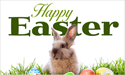 [Happy Easter Bunny Photo Flag]