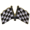 [Crossed Checkered Flags Pin]