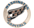 Washington Capitals Cutout Pin