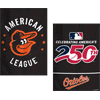 [Orioles Garden America 250 Flag]