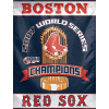 [2007 World Series Champions Red Sox Trophy Banner]