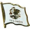 [Illinois Flag Pin]