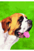 [Dog banners]
