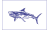 [Fisherman Catch flags]